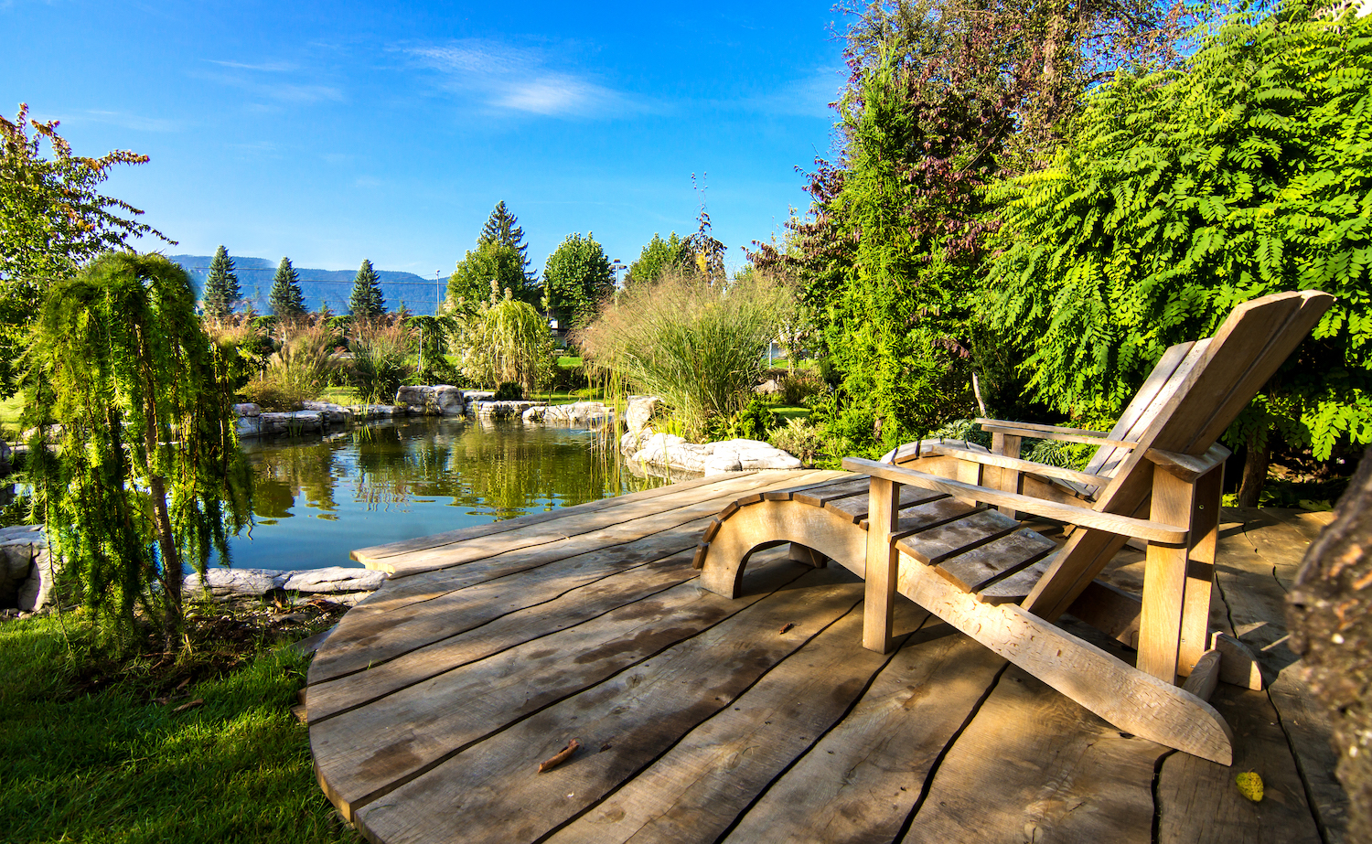 Backyard Pond Ideas Bring Your Yard To, Pond Landscaping Ideas