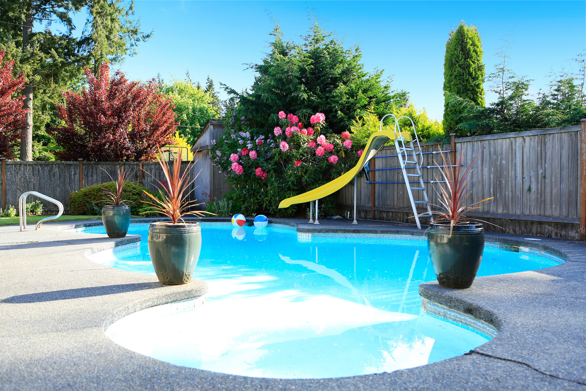 backyard pool ideas on a budget | fig leaf cushion covers